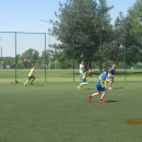 pino 12